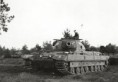 /album/fotogaleria-tanques-ingleses/conqueror-jpg2/